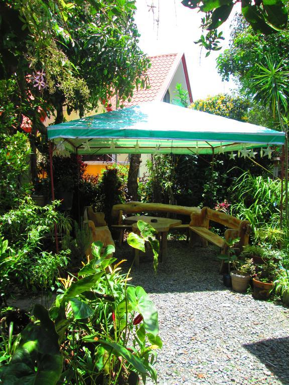 Small House - Baguio Baguio City Dış mekan fotoğraf